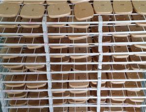 A buon mercato bambù Freeline Skate Decking con alta qualità