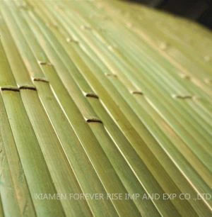 La parete di bambù di stile più calda pannelli schede di decorazione